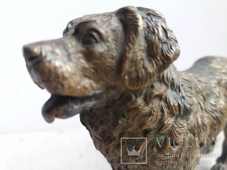 Венская бронза собака клеймо gecshtuzt, фото №9