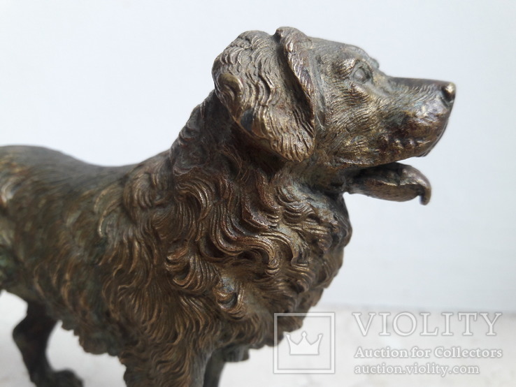 Венская бронза собака клеймо gecshtuzt, фото №10