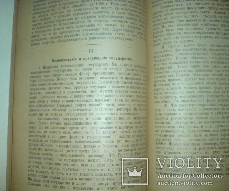 Политика в связи с государственным правом 1907 г., фото №10