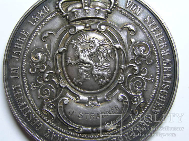 Настольная медаль. Грац 1880 г., фото №4