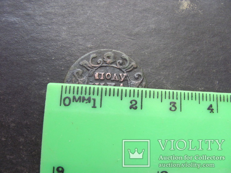 Полушка 1735 года кружок около 21 мм, фото №4