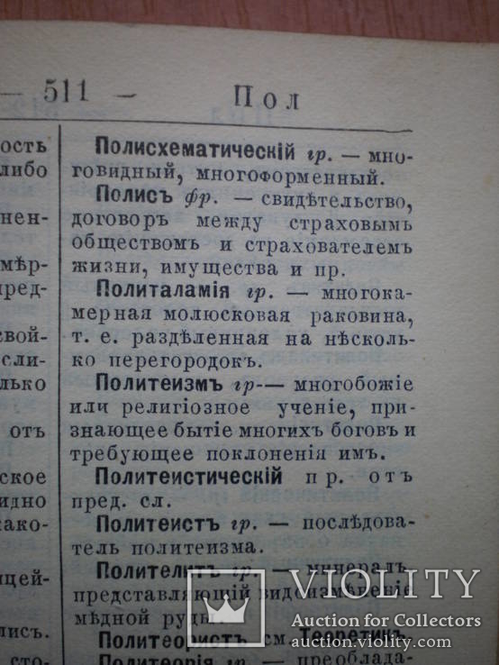 Словарь иностранных слов Н.Я. Гавкин 1901 г, фото №8