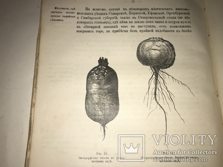 1906 Кормовые Растения редкая книга для Арендаторов, фото №3