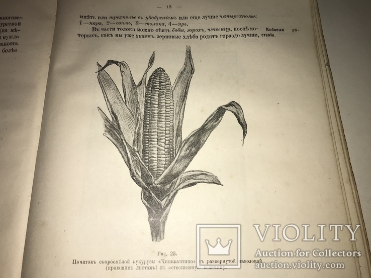 1906 Кормовые Растения редкая книга для Арендаторов, фото №4