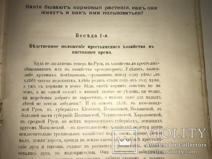 1906 Кормовые Растения редкая книга для Арендаторов, фото №5