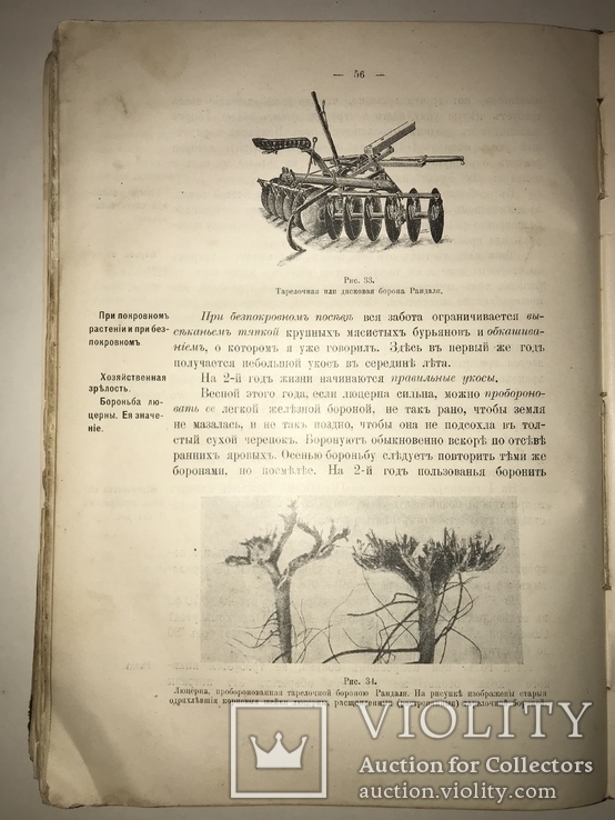 1906 Кормовые Растения редкая книга для Арендаторов, фото №8