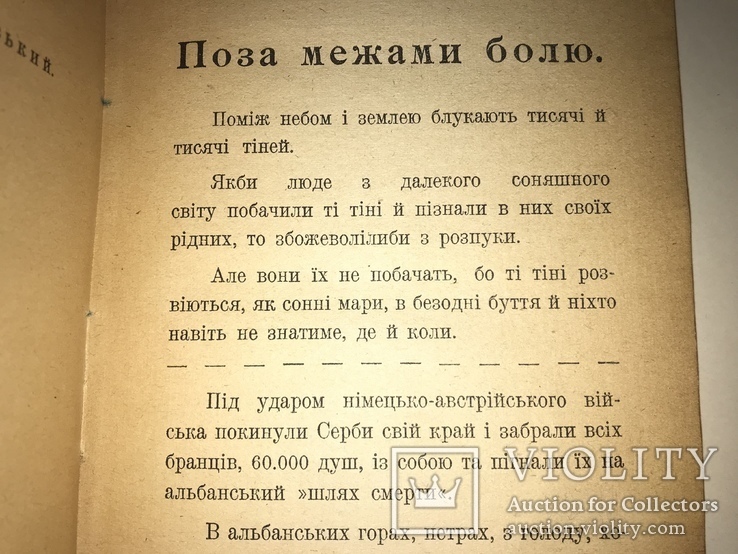 1921 Украинцы в Первой Мировой Войне Легендарная Книга, фото №11