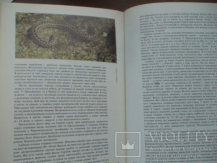 Тварини червоної книги 1990р., фото №5