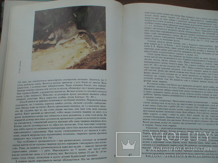 Тварини червоної книги 1990р., фото №7
