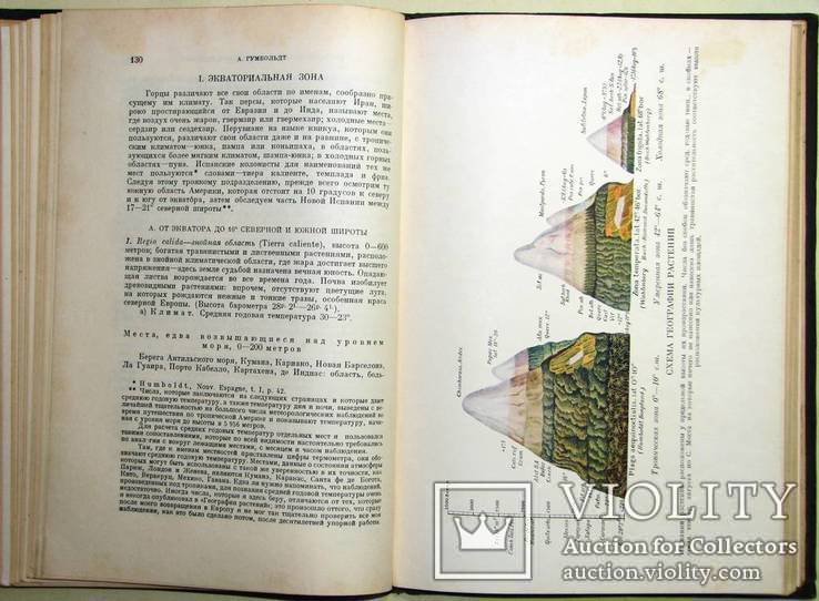 1936  География растений. Гумбольдт А., фото №8