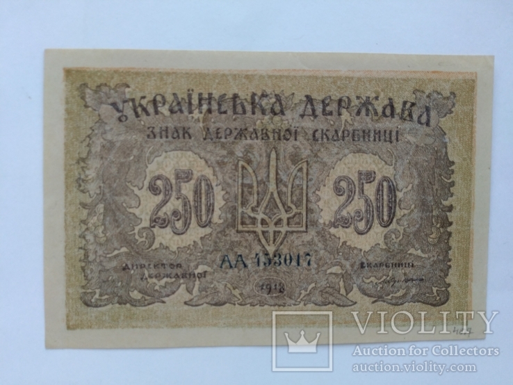 250 карбованцев 1918 unc, фото №2