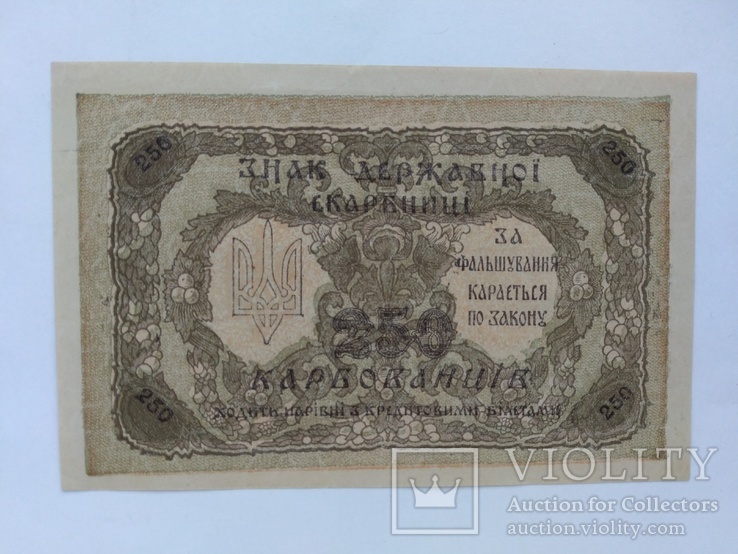 250 карбованцев 1918 unc, фото №3