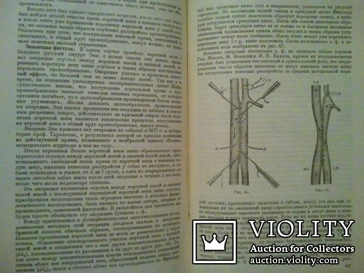 Учебник патологической физиологии. 1933 г., фото №11