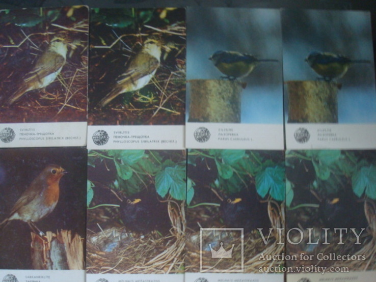 Карманные календарики птицы,Латвия,1986г., фото №5