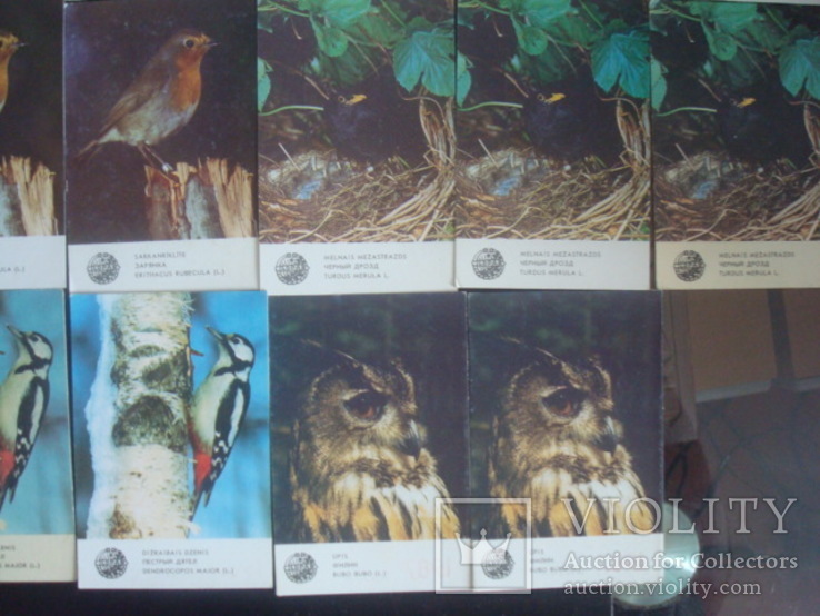 Карманные календарики птицы,Латвия,1986г., фото №7