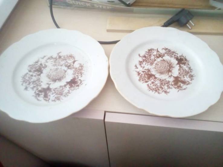 2 великі тарелки