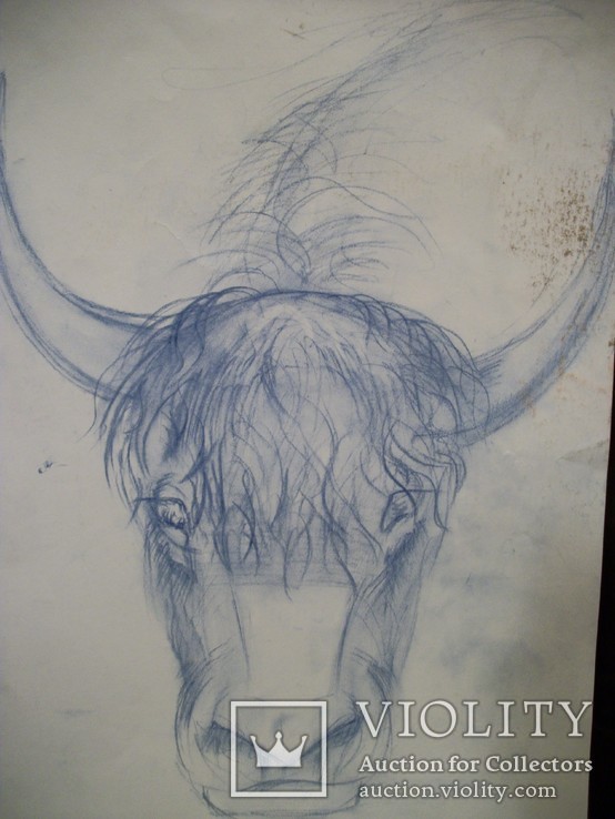 18 Картина Лошадь и бык. 2 листа. Карандаш, ватман. Размер 43*30,5 см, фото №6