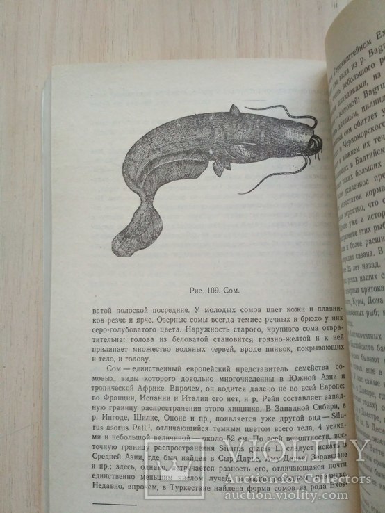 Сабанеев "Жизнь и ловля пресноводных рыб 2" 1992р., фото №7