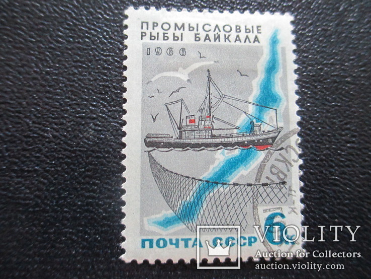 1966  Промысловые рыбы Байкала, фото №2