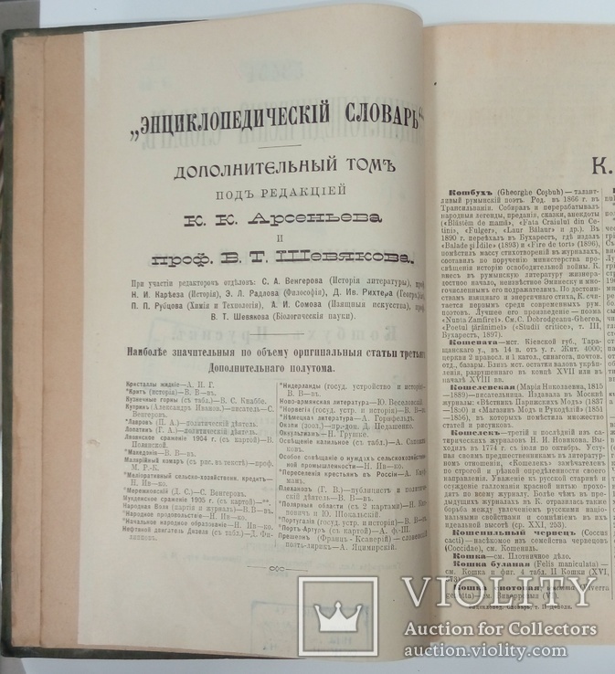 Энциклопедический словарь Брокгауза и Ефрона  3 дополнительный том, фото №7