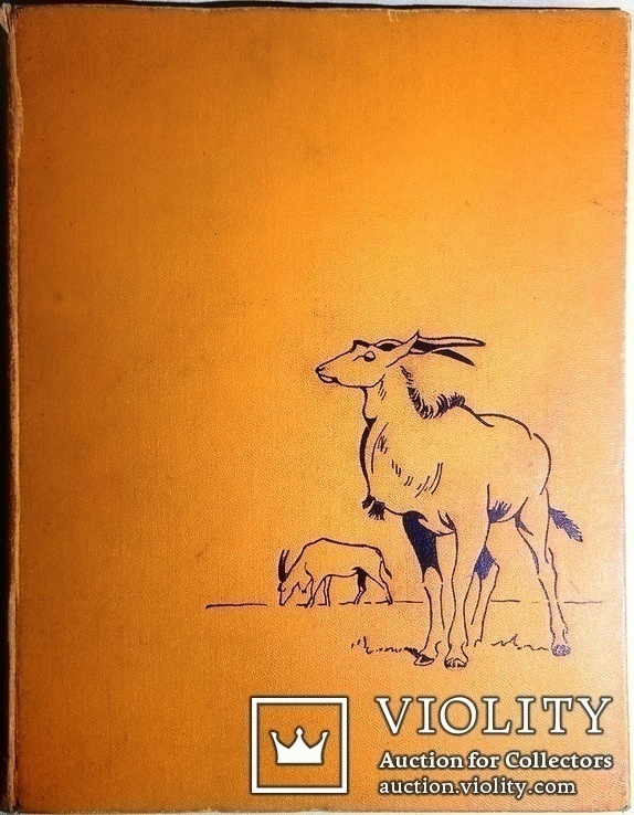 1960  Зоопарк в иллюстрациях. Аскания-Нова, фото №4