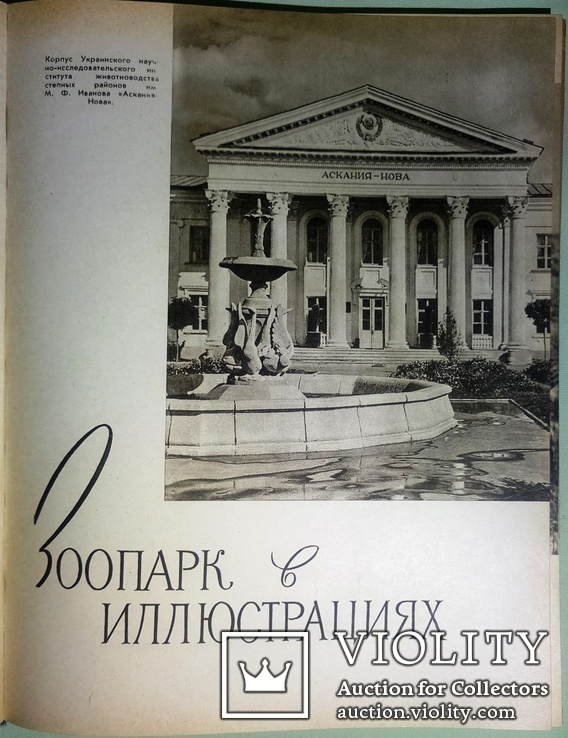 1960  Зоопарк в иллюстрациях. Аскания-Нова, фото №5