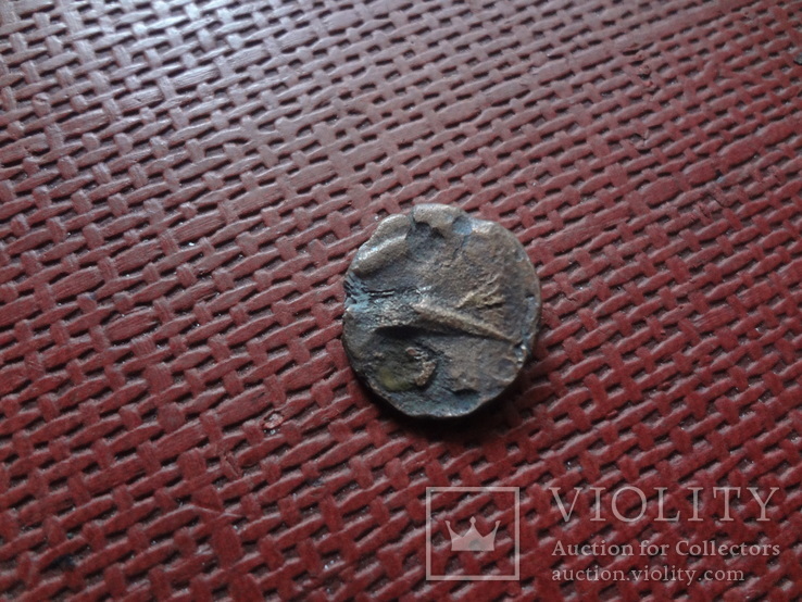 Монета Ольвии   (8.3.11)~, фото №4