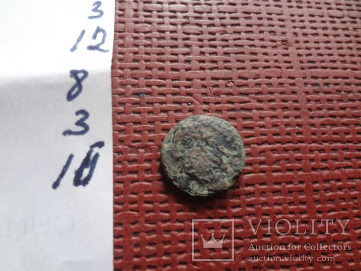 Монета Ольвии   (8.3.17)~, фото №2