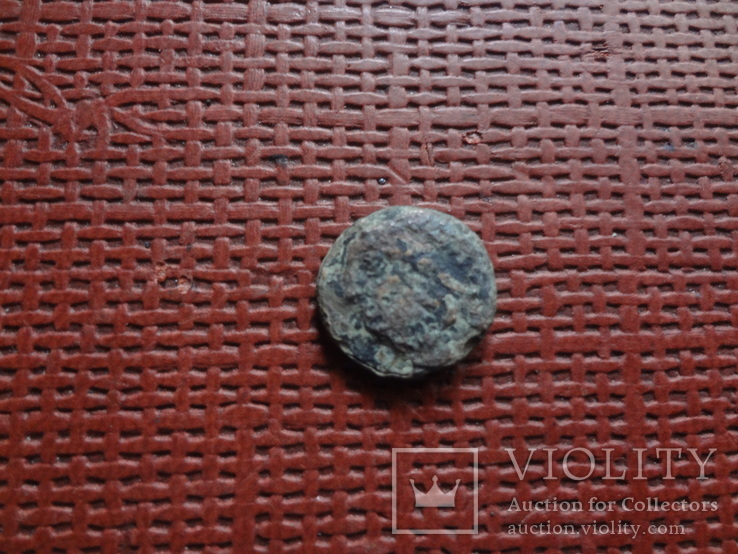 Монета Ольвии   (8.3.17)~, фото №3