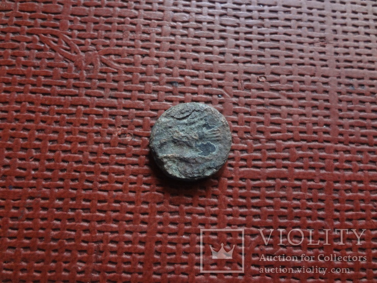 Монета Ольвии   (8.3.17)~, фото №4