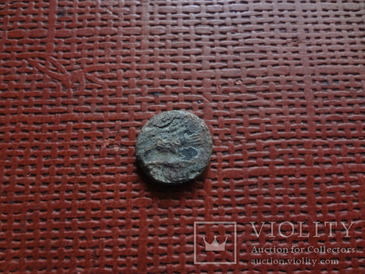Монета Ольвии   (8.3.17)~, фото №5
