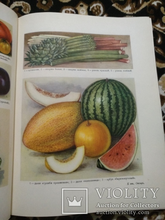 1959 год Краткая энциклопедия домашнего хозяйства, с множеством цветных элюстраций, фото №9
