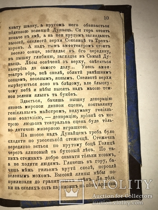 1885 В Карпатах Путешествие Прижизненный Иван Негуй, фото №3