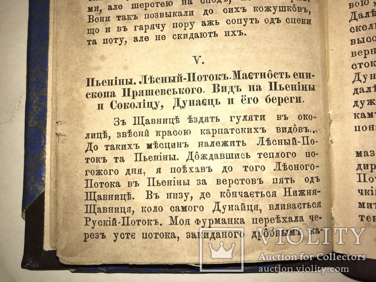 1885 В Карпатах Путешествие Прижизненный Иван Негуй, фото №4