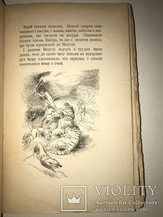 1920 Братья Маугли Украинская Книжка детская, фото №9