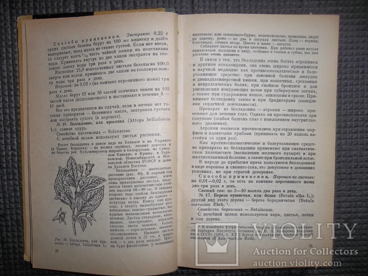 Лекарственные растения в народной медицине.1970 год., фото №7