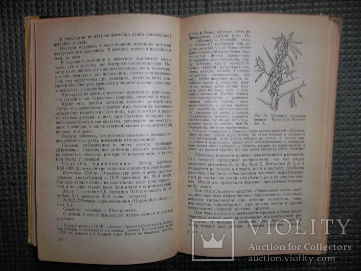 Лекарственные растения в народной медицине.1970 год., фото №8