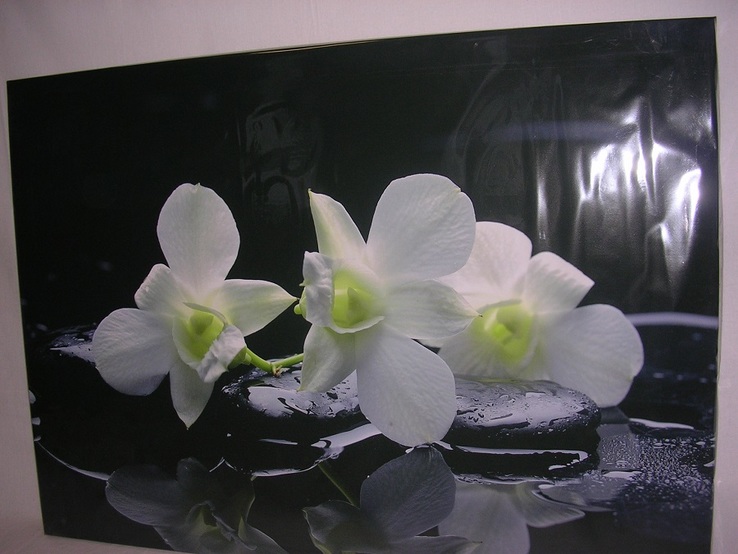 Белая орхидея, фото №2