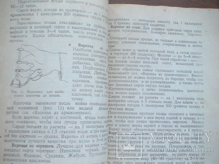 Орлова "Консервирование плодов, ягод и овощей в домашних условиях" 1959р., фото №6