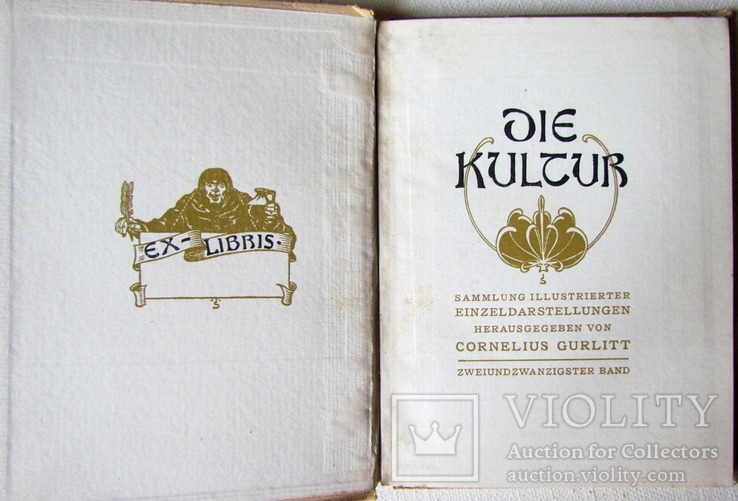 Дореволюційна ілюстрована книга "Зальзбург" 1907, фото №3