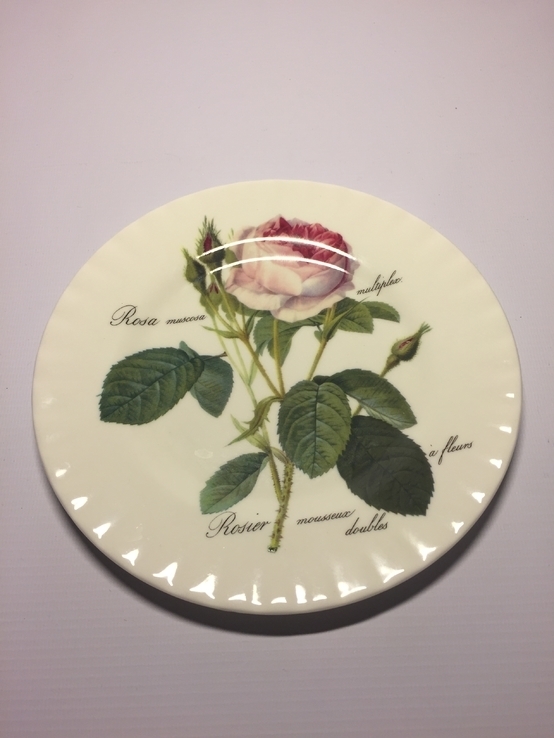 Набор тарелок (6шт) Roy Kirkham Redoute Rose, фото №4