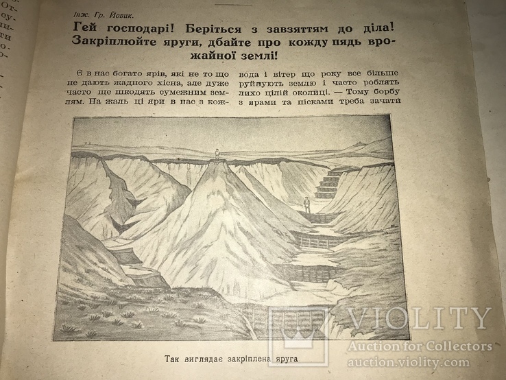 1925 Великий День Українських Хліборобів, фото №4