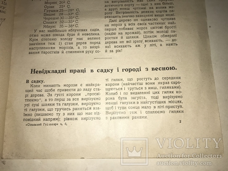 1925 Великий День Українських Хліборобів, фото №5