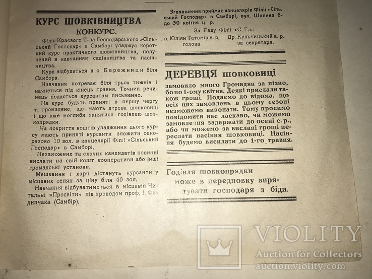 1925 Великий День Українських Хліборобів, фото №6