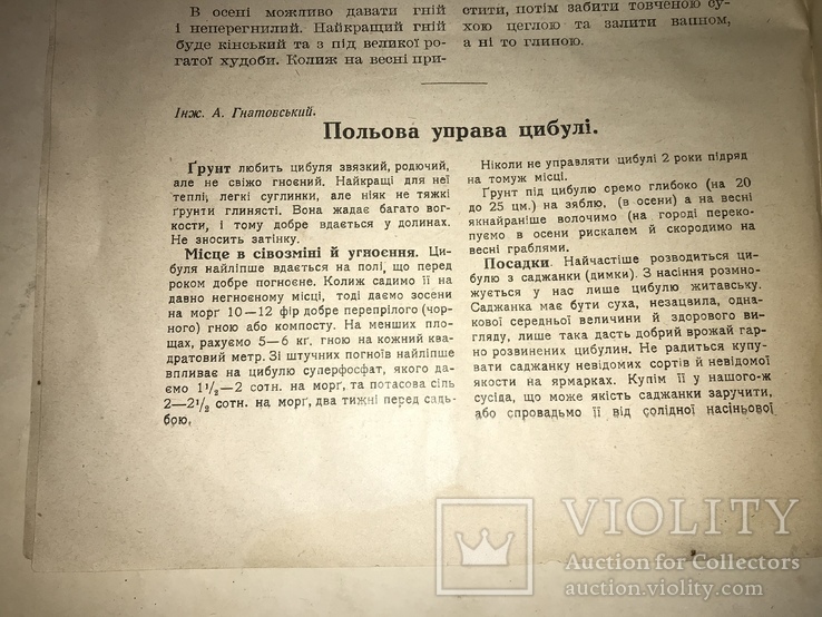 1925 Великий День Українських Хліборобів, фото №7