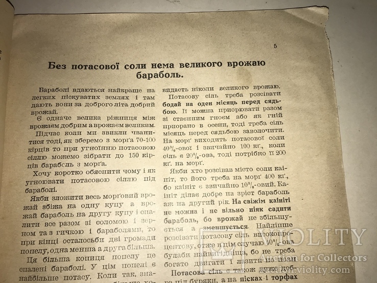 1925 Великий День Українських Хліборобів, фото №13