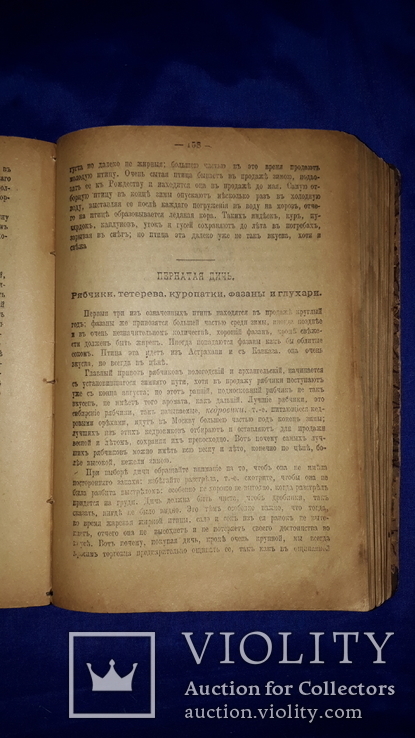 1899 Школа поварского и кондитерского искусства, фото №11