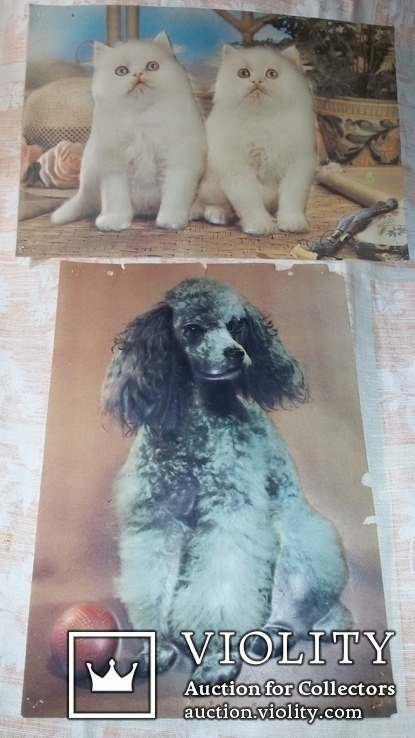 Выпуклые картинки 2шт из СССР цена 1-50 коты  собака