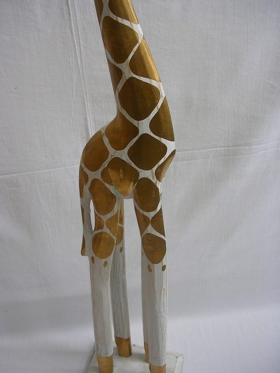 Золотистый жираф, фото №5