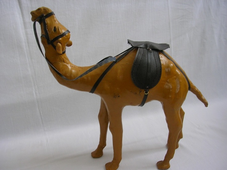 Кожаный верблюд, фото №3